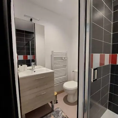 Apartment Paissible T1 Proche De Vulcania *